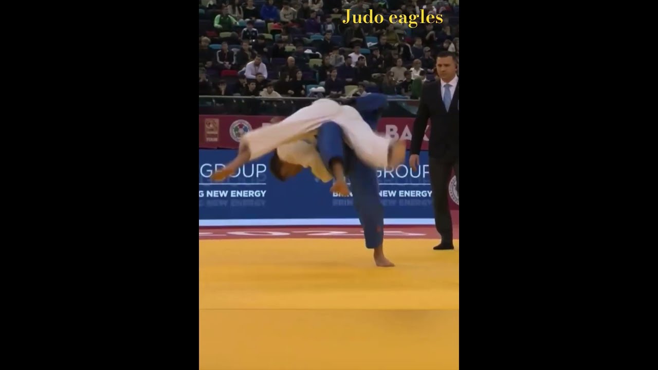 自成立以来