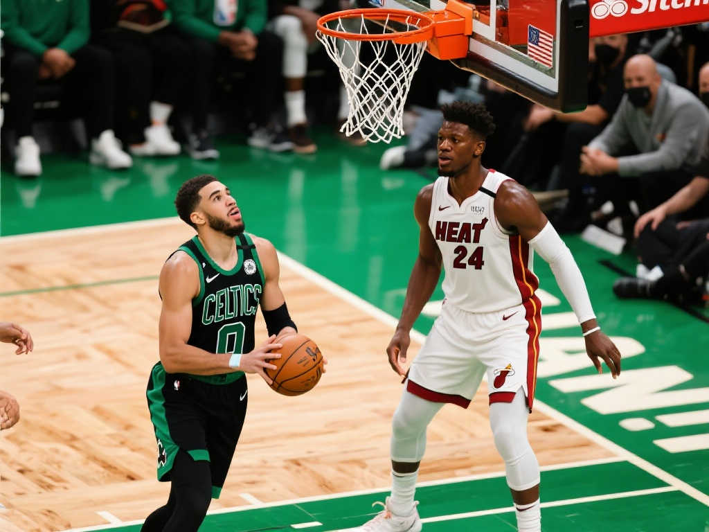 梅州需要在 梅州需要在