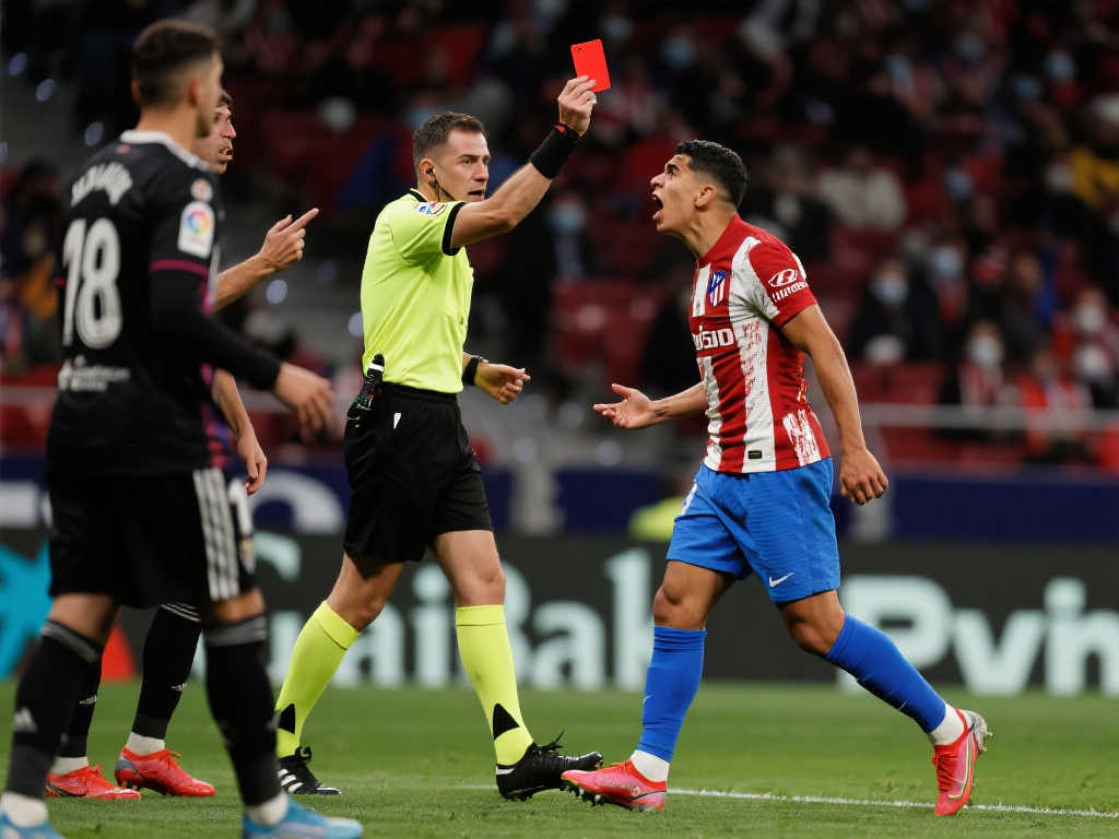 我们不难看 我们不难看